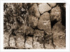 General views, Alba Fucens, Abruzzo by Anonymous