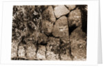 General views, Alba Fucens, Abruzzo by Anonymous