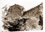 General views, Alba Fucens, Abruzzo by Anonymous