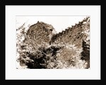 General views, Alba Fucens, Abruzzo by Anonymous