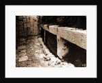 General views, Alba Fucens, Abruzzo by Anonymous