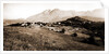 General views, Alba Fucens, Abruzzo by Anonymous