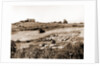General views, Alba Fucens, Abruzzo by Anonymous
