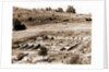 General views, Alba Fucens, Abruzzo by Anonymous