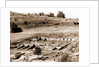 General views, Alba Fucens, Abruzzo by Anonymous