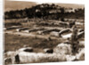 General views, Alba Fucens, Abruzzo by Anonymous