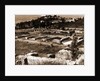 General views, Alba Fucens, Abruzzo by Anonymous
