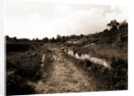 General views, Alba Fucens, Abruzzo by Anonymous
