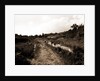 General views, Alba Fucens, Abruzzo by Anonymous