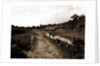 General views, Alba Fucens, Abruzzo by Anonymous