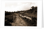 General views, Alba Fucens, Abruzzo by Anonymous