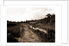 General views, Alba Fucens, Abruzzo by Anonymous
