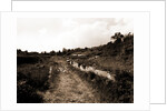 General views, Alba Fucens, Abruzzo by Anonymous