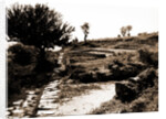 General views, Alba Fucens, Abruzzo by Anonymous