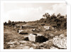 General views, Alba Fucens, Abruzzo by Anonymous