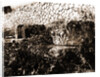 General views, Alba Fucens, Abruzzo by Anonymous