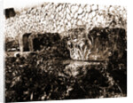 General views, Alba Fucens, Abruzzo by Anonymous