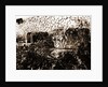 General views, Alba Fucens, Abruzzo by Anonymous