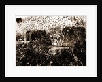 General views, Alba Fucens, Abruzzo by Anonymous