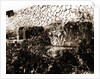 General views, Alba Fucens, Abruzzo by Anonymous