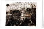 General views, Alba Fucens, Abruzzo by Anonymous