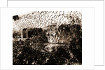 General views, Alba Fucens, Abruzzo by Anonymous