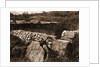 General views, Alba Fucens, Abruzzo by Anonymous