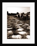 General views, Alba Fucens, Abruzzo by Anonymous