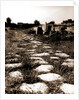 General views, Alba Fucens, Abruzzo by Anonymous