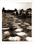 General views, Alba Fucens, Abruzzo by Anonymous