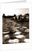 General views, Alba Fucens, Abruzzo by Anonymous