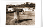 General views, Alba Fucens, Abruzzo by Anonymous