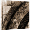 S. Maria Assunta, Assergi, L'Aquila, Abruzzo by Anonymous