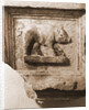 Museo Nazionale d'Abruzzo, L'Aquila, L'Aquila, Abruzzo by Anonymous