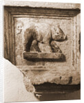 Museo Nazionale d'Abruzzo, L'Aquila, L'Aquila, Abruzzo by Anonymous