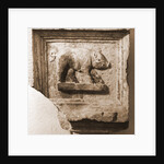 Museo Nazionale d'Abruzzo, L'Aquila, L'Aquila, Abruzzo by Anonymous