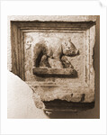 Museo Nazionale d'Abruzzo, L'Aquila, L'Aquila, Abruzzo by Anonymous
