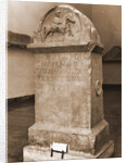 Museo Nazionale d'Abruzzo, L'Aquila, L'Aquila, Abruzzo by Anonymous