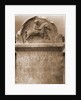 Museo Nazionale d'Abruzzo, L'Aquila, L'Aquila, Abruzzo by Anonymous