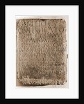 Museo Nazionale d'Abruzzo, L'Aquila, L'Aquila, Abruzzo by Anonymous