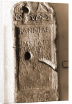 Museo Nazionale d'Abruzzo, L'Aquila, L'Aquila, Abruzzo by Anonymous