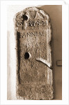 Museo Nazionale d'Abruzzo, L'Aquila, L'Aquila, Abruzzo by Anonymous