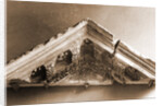 Museo Nazionale d'Abruzzo, L'Aquila, L'Aquila, Abruzzo by Anonymous