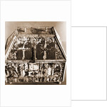 Museo Nazionale d'Abruzzo, L'Aquila, L'Aquila, Abruzzo by Anonymous