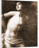 Museo Nazionale d'Abruzzo, L'Aquila, L'Aquila, Abruzzo by Anonymous