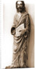 Museo Nazionale d'Abruzzo, L'Aquila, L'Aquila, Abruzzo by Anonymous