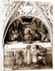 Collegiate complex (S. Bernardino), L'Aquila, L'Aquila, Abruzzo by Anonymous