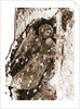 S. Giusta, L'Aquila, L'Aquila, Abruzzo by Anonymous