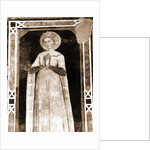 S. Maria di Collemaggio, L'Aquila, Abruzzo by Anonymous