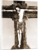S. Maria di Collemaggio, L'Aquila, Abruzzo by Anonymous